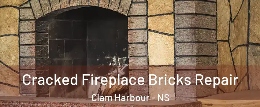 Cracked Fireplace Bricks Repair Clam Harbour - NS