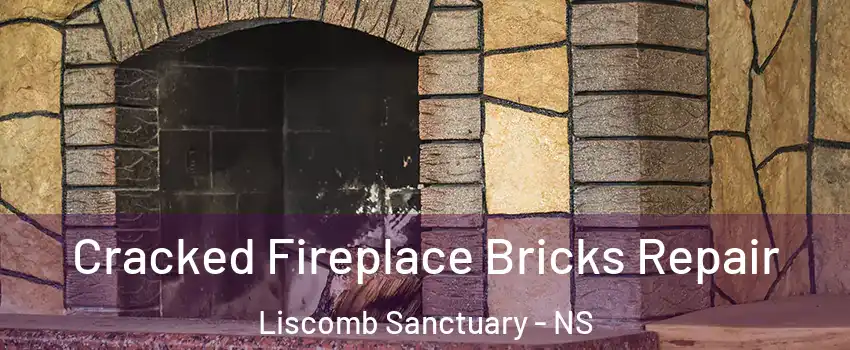  Cracked Fireplace Bricks Repair Liscomb Sanctuary - NS
