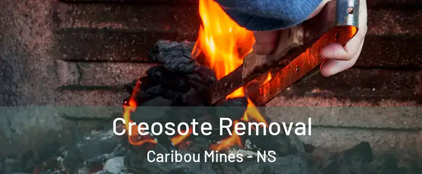 Creosote Removal Caribou Mines - NS