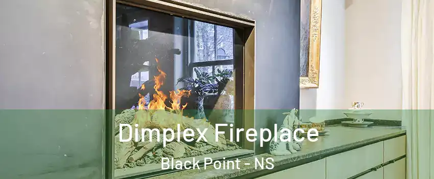  Dimplex Fireplace Black Point - NS