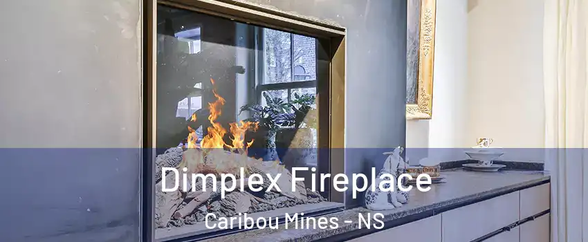  Dimplex Fireplace Caribou Mines - NS