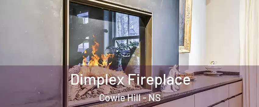  Dimplex Fireplace Cowie Hill - NS