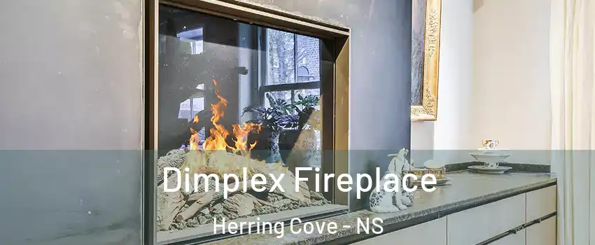  Dimplex Fireplace Herring Cove - NS