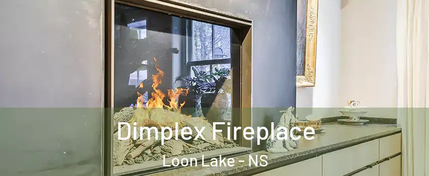  Dimplex Fireplace Loon Lake - NS