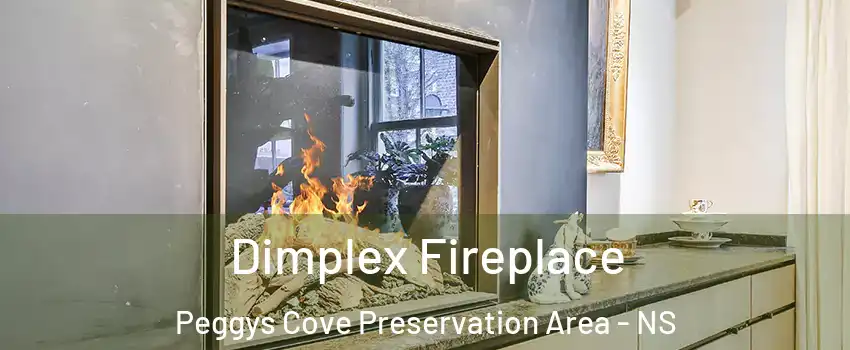  Dimplex Fireplace Peggys Cove Preservation Area - NS
