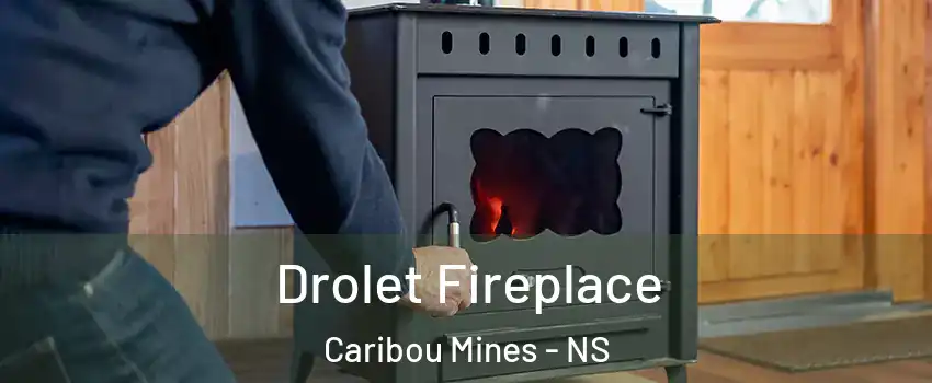  Drolet Fireplace Caribou Mines - NS