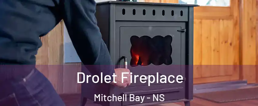  Drolet Fireplace Mitchell Bay - NS