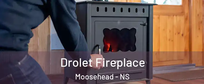  Drolet Fireplace Moosehead - NS