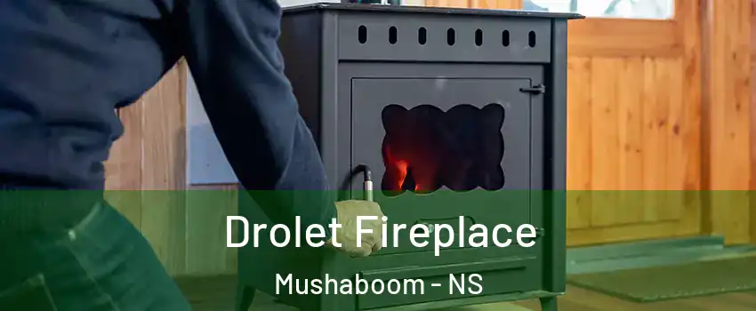  Drolet Fireplace Mushaboom - NS