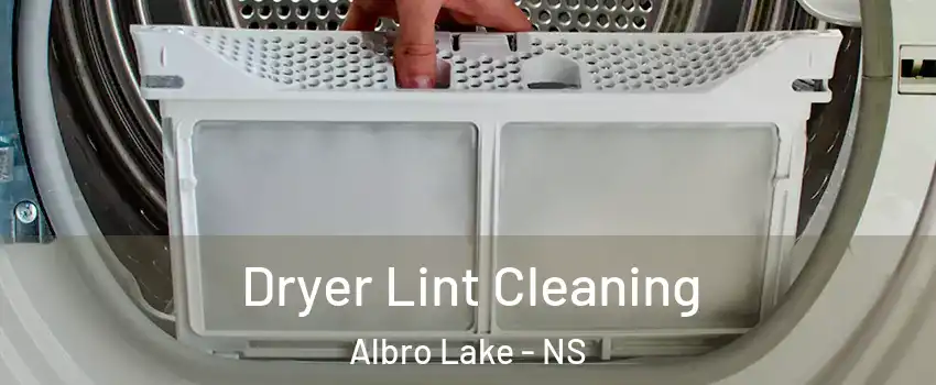  Dryer Lint Cleaning Albro Lake - NS
