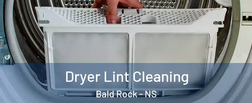  Dryer Lint Cleaning Bald Rock - NS