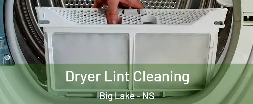  Dryer Lint Cleaning Big Lake - NS