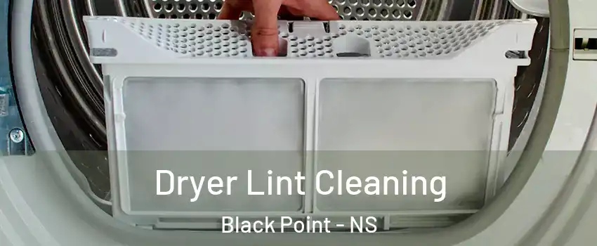  Dryer Lint Cleaning Black Point - NS