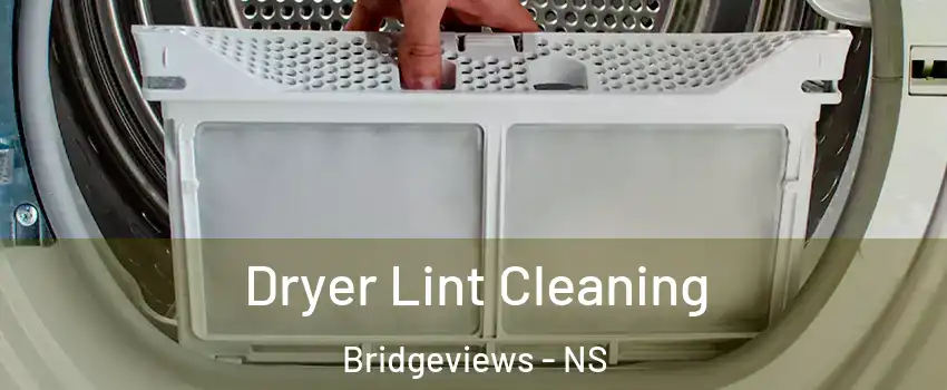  Dryer Lint Cleaning Bridgeviews - NS