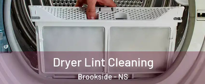  Dryer Lint Cleaning Brookside - NS