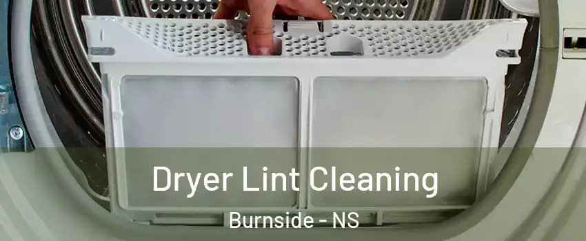  Dryer Lint Cleaning Burnside - NS