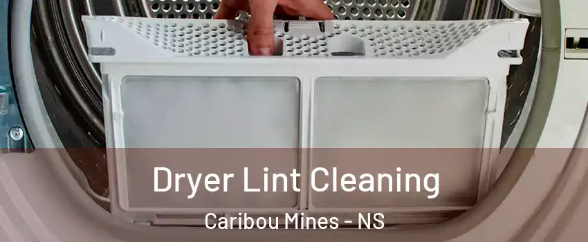  Dryer Lint Cleaning Caribou Mines - NS
