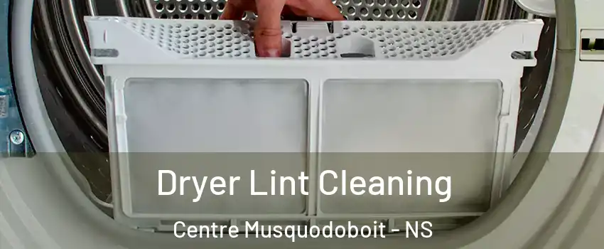  Dryer Lint Cleaning Centre Musquodoboit - NS
