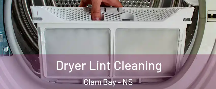  Dryer Lint Cleaning Clam Bay - NS