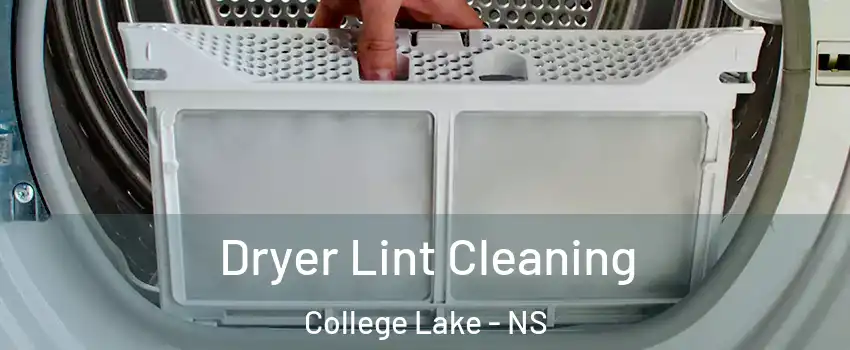  Dryer Lint Cleaning College Lake - NS