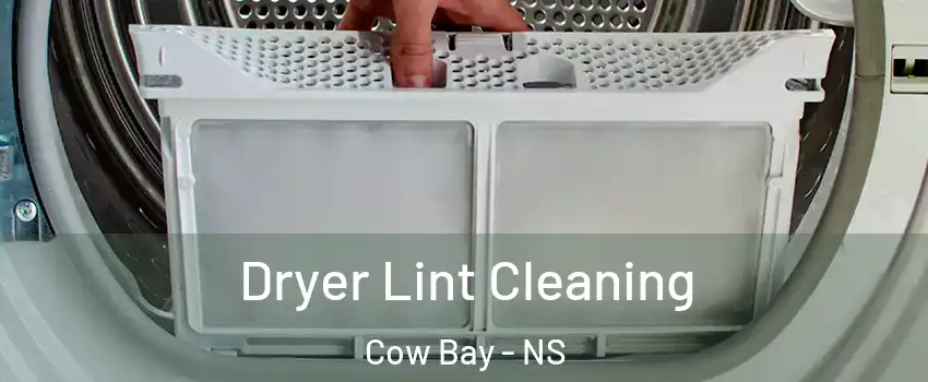  Dryer Lint Cleaning Cow Bay - NS