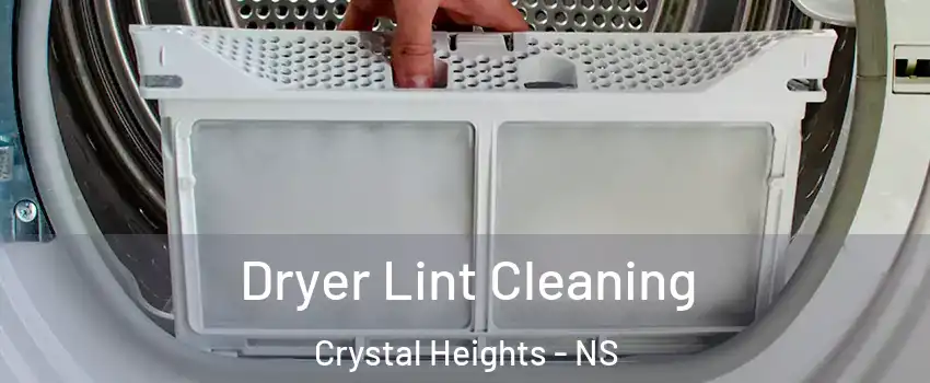  Dryer Lint Cleaning Crystal Heights - NS