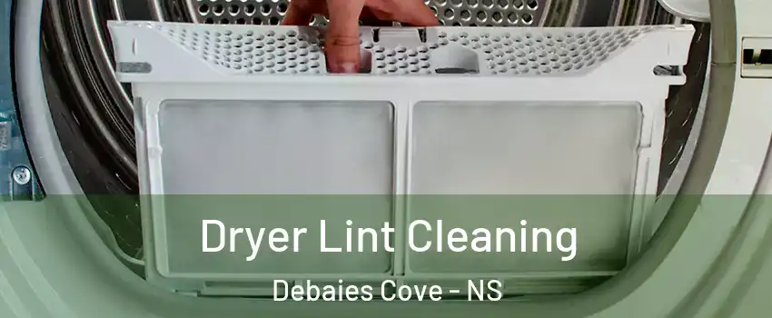  Dryer Lint Cleaning Debaies Cove - NS