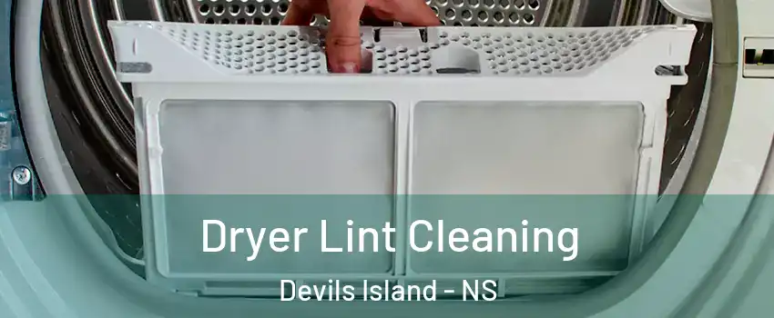  Dryer Lint Cleaning Devils Island - NS