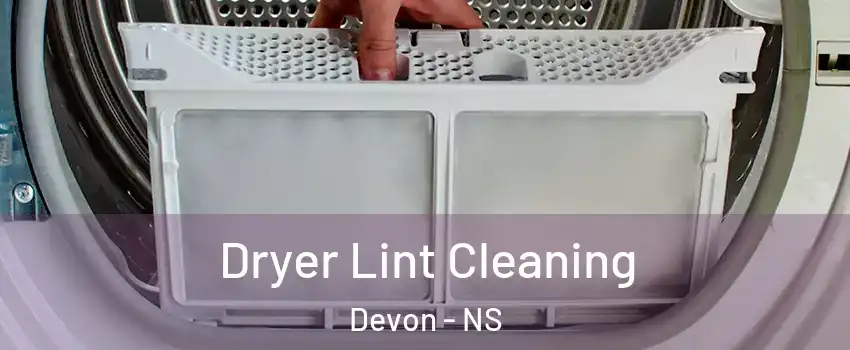  Dryer Lint Cleaning Devon - NS