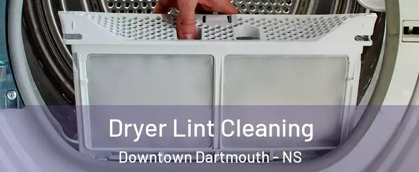  Dryer Lint Cleaning Downtown Dartmouth - NS