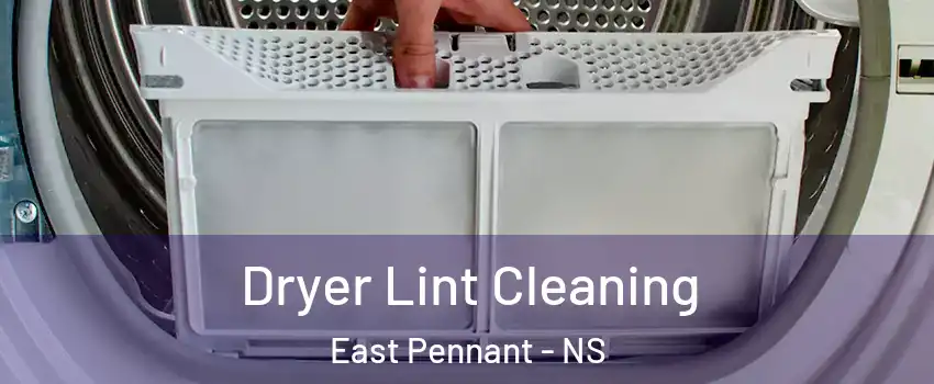  Dryer Lint Cleaning East Pennant - NS