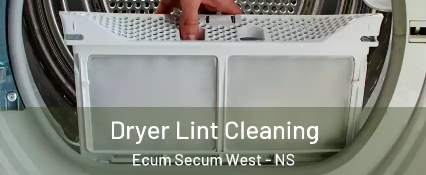  Dryer Lint Cleaning Ecum Secum West - NS