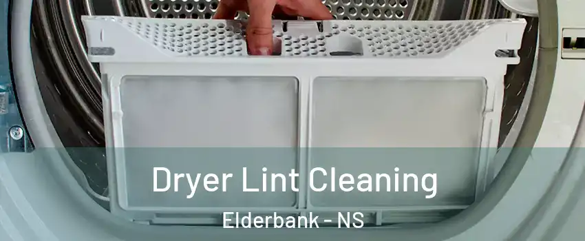  Dryer Lint Cleaning Elderbank - NS