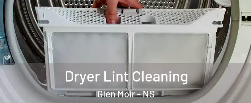 Dryer Lint Cleaning Glen Moir - NS