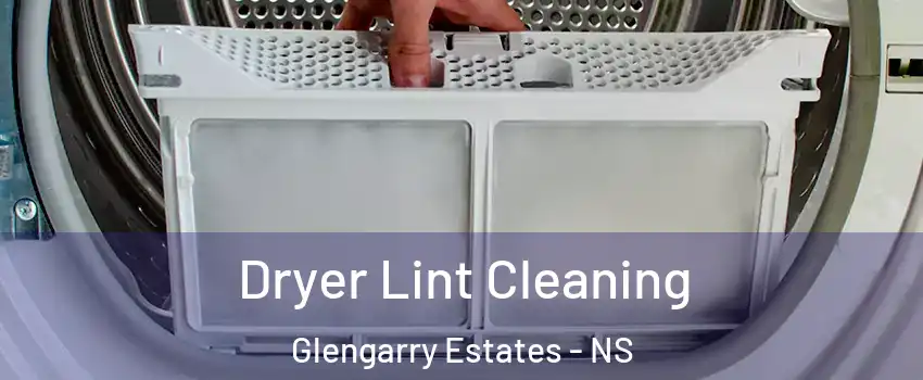  Dryer Lint Cleaning Glengarry Estates - NS
