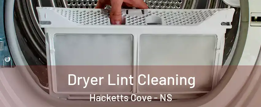  Dryer Lint Cleaning Hacketts Cove - NS