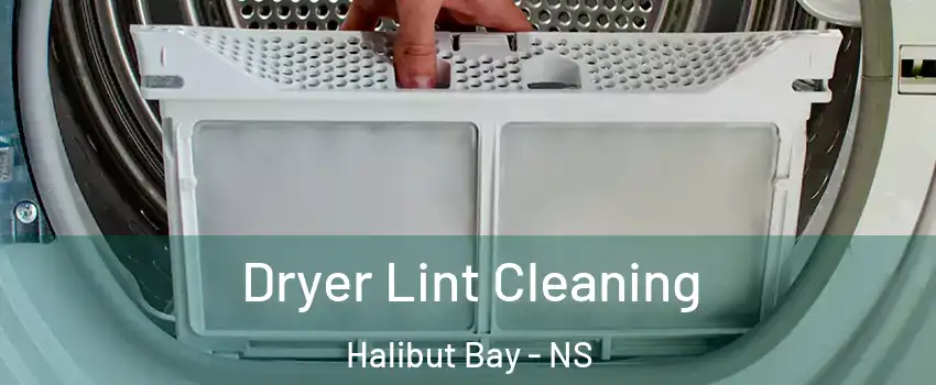  Dryer Lint Cleaning Halibut Bay - NS