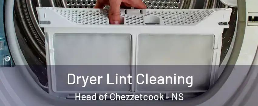 Dryer Lint Cleaning Head of Chezzetcook - NS