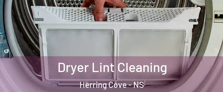  Dryer Lint Cleaning Herring Cove - NS