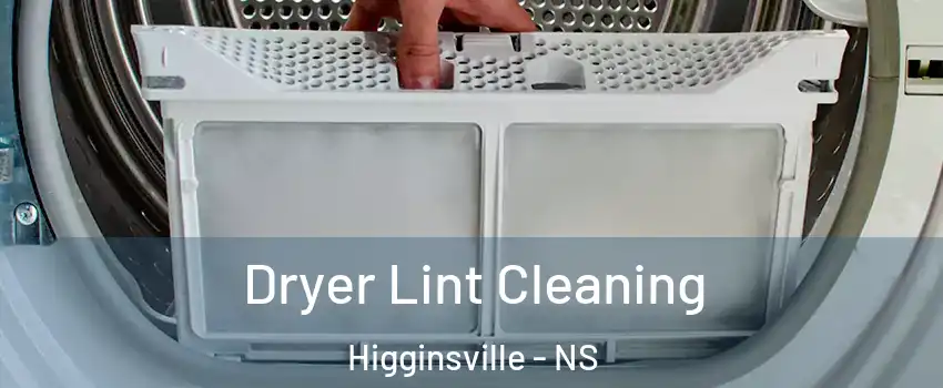  Dryer Lint Cleaning Higginsville - NS