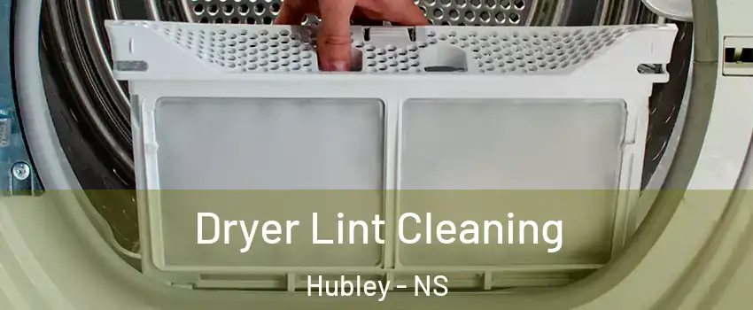  Dryer Lint Cleaning Hubley - NS