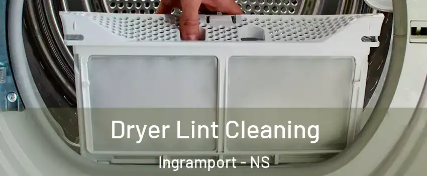  Dryer Lint Cleaning Ingramport - NS
