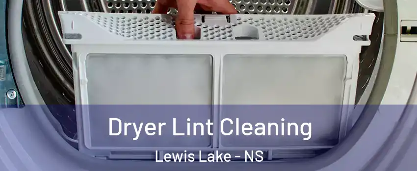  Dryer Lint Cleaning Lewis Lake - NS