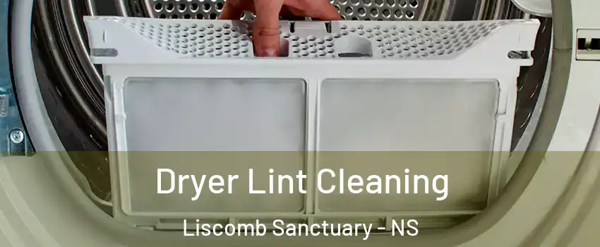  Dryer Lint Cleaning Liscomb Sanctuary - NS