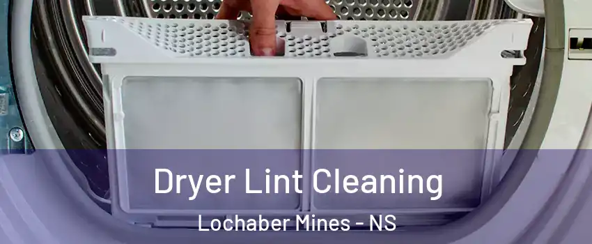  Dryer Lint Cleaning Lochaber Mines - NS