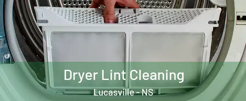  Dryer Lint Cleaning Lucasville - NS