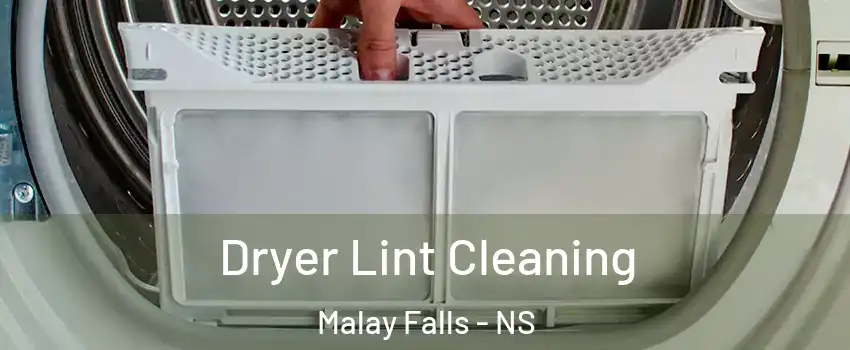  Dryer Lint Cleaning Malay Falls - NS