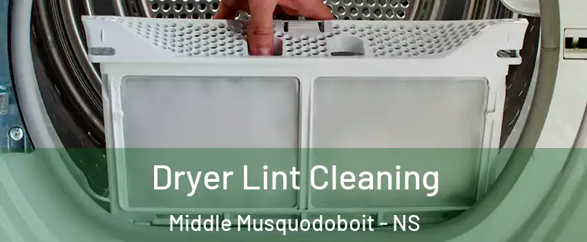  Dryer Lint Cleaning Middle Musquodoboit - NS