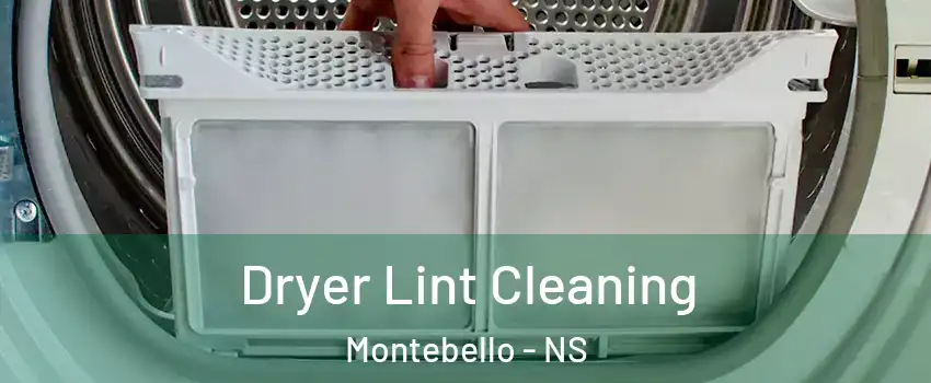  Dryer Lint Cleaning Montebello - NS