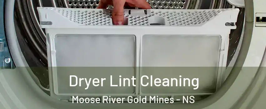  Dryer Lint Cleaning Moose River Gold Mines - NS